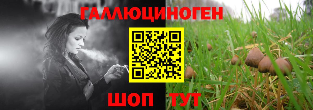 Псилоцибиновые грибы мухоморы  Вход с VPN  Аргун 